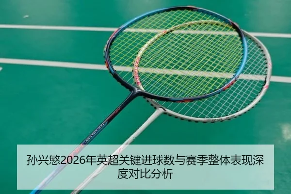 孙兴慜2026年英超关键进球数与赛季整体表现深度对比分析